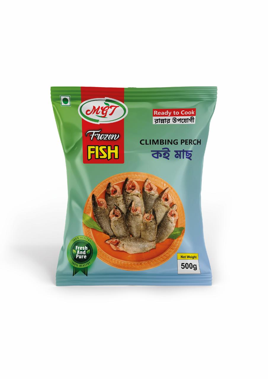 Climbing Perch Fish